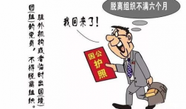 党员漫画,忠诚与担当的生动写照